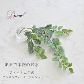 フィットニア マジカルウォーター アレンジ グリーン 観葉植物 高級造花 造花 マジカルウォーター 魔法の水 クレイ花器 光触媒 光触媒加工済 人工水 フェイクグリーン
