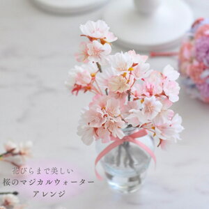 yzF d ̃}WJEH[^[AW @̐ }WJEH[^[ A[eBtBVt[  t[Mtg bsO  sakura TN EH[^[