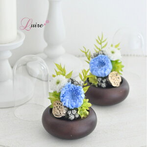 ֋e vU[uht[KXh[ԁwe؁x  vU[uht[ h[   ~ r͂͂ ~ V~ ފ r   