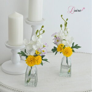 yz 2̏eƃJ̃}WJEH[^[ @̐ A[eBtBVt[  t[Mtg bsO@͂Ȃ   t[CeA l