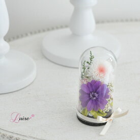 お線香セット 送料無料 ミニドーム仏花 小菊 プリザーブドフラワードーム仏花 お供え花 プリザーブドフラワー仏花 ドーム お悔やみ お供え お盆 ペット用 お彼岸 喪中 仏壇 お悔み 命日 四十九日 一周忌 花 ドーム仏花【絆】