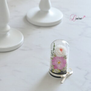 お線香セット 送料無料 ミニドーム仏花 小菊 プリザーブドフラワードーム仏花 お供え花 プリザーブドフラワー仏花 ドーム お悔やみ お供え お盆 ペット用 お彼岸 喪中 仏壇 お悔み 命日 四