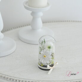お線香セット 送料無料 ミニドーム仏花 小菊 プリザーブドフラワードーム仏花 お供え花 プリザーブドフラワー仏花 ドーム お悔やみ お供え お盆 ペット用 お彼岸 喪中 仏壇 お悔み 命日 四十九日 一周忌 花 ドーム仏花【絆】