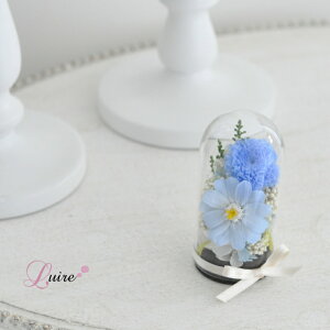 お線香セット 送料無料 ミニドーム仏花 小菊 プリザーブドフラワードーム仏花 お供え花 プリザーブドフラワー仏花 ドーム お悔やみ お供え お盆 ペット用 お彼岸 喪中 仏壇 お悔み 命日 四