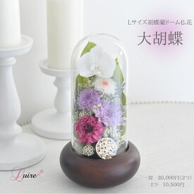 豪華Lサイズ プリザーブドフラワー胡蝶蘭 仏花 供花 ガラスドーム付き お悔み お盆 ガラスドーム仏花 ドーム仏花 胡蝶蘭 胡蝶蘭仏花 ガラスドーム 大きめ 対 お供え ドーム【大胡蝶】