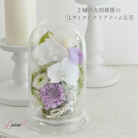 大きめ 胡蝶蘭 送料無料 輪菊 ドーム仏花 自然素材仏花 プリザーブドフラワー仏花 ドーム お供え花 ドーム 供花 お悔み お盆 枯れない仏花 菊 お手入れ不要 仏壇用 一対