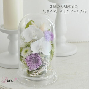 傫 Ӓ  ֋e h[ Rfޕ vU[uht[ h[    ~ ͂Ȃ e sv dp 