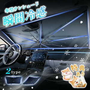 [49801788~/_/ TVF[h  tgTVF[h PTVF[h_bV{[hی  悯 uvJbg OJbg 10{ O΍ ՌfM [֗ ԃTV