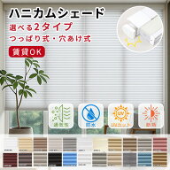 10%OFF【外の視線ブロックでリラックス】目隠し ロールスクリーン プライバシー保護 カーテン UVカット …