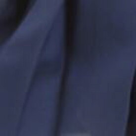 【楽天1位 4冠】セーラー服 コスプレ ハロウィン 半袖 夏服 女子高生 高校生 中学生 制服 学生服 リボン コスプレ衣装 仮装 ミニスカ アイドル 大きいサイズ インスタ ダンス カラーセーラー パープル グリーン ブルー ピンク レッド ネイビー メール便 送料無料