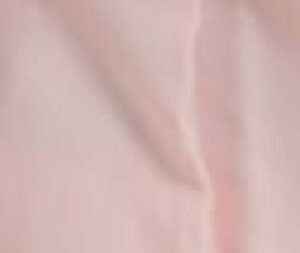 yyV1 4zZ[[ RXv nEB  ĕ q Z w  w { RXvߑ  ~jXJ ACh 傫TCY CX^ _X J[Z[[ 