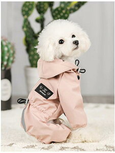  CR[g Ȃ ^ ^ ₷ pCR[g ̕ hbOEFA J ̃Jbp    L JH h ~J  |` AE^[ Jbp AEgh