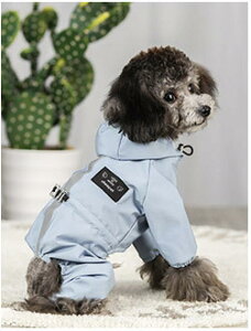  CR[g Ȃ ^ ^ ₷ pCR[g ̕ hbOEFA J ̃Jbp    L JH h ~J  |` AE^[ Jbp AEgh