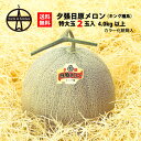 夕張日原メロン 特大玉 2玉入(4.0kg以上) 送料無料 北海道産メロン 産地直送 ギフト お中元 贈り物 果物 甘い フルーツ 人気 お取り寄せ 夕張メロン 日原メロン 北海道のフルーツ 夏ギフト プレゼント 高品質
