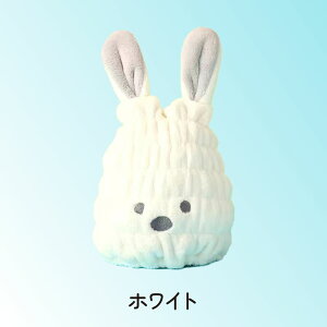 yZ[Ԍ zzwALbv wAhC^I ^ILbv  z ^I qǂ l q V[ Ԃ z  C wA^[o C wAhCLbv 