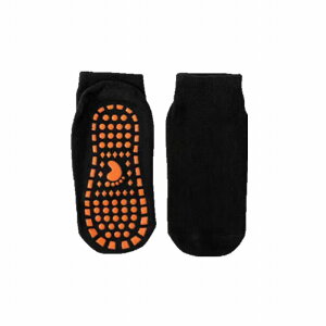 y1000~|bLzy5Zbgz C  ~ t LbY l \bNX  Ȃ ~ q xr[ X|[c ۈ牀 ʊw n  fB[X Y ct 킢 