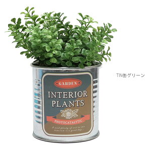 KI JAPAN/P[ACWp 163244 TINʃO[ t@VFCv G} L Rی A  tFCNO[ IV CeA u 