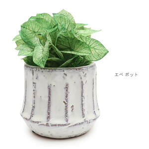 KI JAPAN/P[ACWp 168751 Gy |bg VSjE G} L Rی A   tFCNO[ IV CeA u 