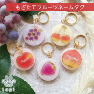 【もぎたてフルーツネームタグ】ペット 迷子札 ネームタグ ネームプレート ドッグタグ 犬 猫 ギフト 軽い…