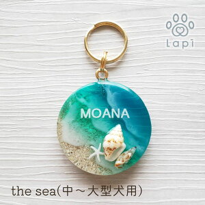 ythe sea l[^Oi`^pjz qD l[^O l[v[g hbO^O ybg  L qh~ Mtg y y ^ ^  킢 ʐ^f ybg Mtg