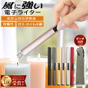 全店SS特別SALE◎《最大25%CP配布》 電子ライター プラズマ 着火 usb エコ USBライター 線香 花火 アウトドア おしゃ…