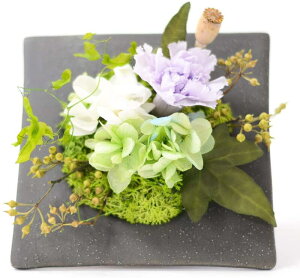 CbNE^C vU[uht[ hCt[ EFfBO u[P uC_ ԉ u[gjA a \ LbY uC_  AWTC JX~\E v[g 