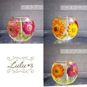 WFLh wNT hCt[ vU[uht[ n[oE CeA a v[g ̓ 蕨 Mtg vU uU[uh A}  EFfBO j