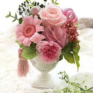 sNXC[g^bZ t[AW vU[uht[ J[l[V AW a v[g  ̓ 蕨 Mtg ސEj TCY:12cm×c12cm×20cm Lulu's-1445 Lulu