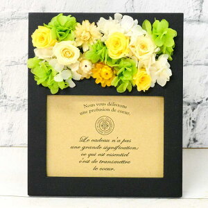 zԂƃõtHgt[ vU[uht[ TCY16.0cm6cm19.0cm zԂƃõtHgt[ Lulu's-1446 Lulu's Y