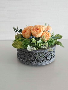 IW[YŃVbN A[eBtBVt[ EFfBO CO Ԋ u[P a \ LbY  wbhhX uC_  v[g 蕨 TCY:c13cm×