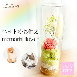 t[K[fKXh[  ybg  vU[uht[ hCt[ {gt[ Mtg v[g {^jJ G a t[AW v[g 蕨 