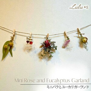 ~joƃ[JK[h vU[uht[ K[h XbO hC t[  CeA EFfBO  IV hCt[ Mtg a v[g 