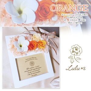 X^[obNX X^o R[q[ Mtg Zbg vU[uht[ vA Ebht[ Iׂ4J[ [Y tHgt[ L ʐ^ a  ̓ 蕨 t[ ϗt