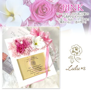 vU[uht[ v~A vA Ebht[ Iׂ3J[ [Y tHgt[ L ʐ^ a  ̓ 蕨 t[ ϗtA ʐ^ v[g Mtg 