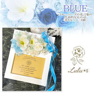 vU[uht[ XyV vA Ebht[ Iׂ3J[ [Y tHgt[ L ʐ^ a  ̓ 蕨 t[ ϗtA ʐ^ v[g Mtg 