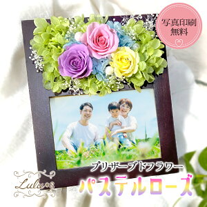 vU[uht[ pXe Ebht[ [Y KN tHg ʐ^ a v[g 蕨 Mtg EFfBO ސE   ꂵ   N    җ 