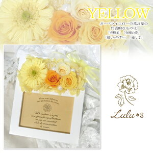 vU[uht[ K[x Ebht[ H Iׂ4J[ [Y tHgt[ L ʐ^ a  ̓ 蕨 t[ ϗtA ʐ^ v[g Mtg ސE  N