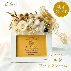 RbgubTEGKXt[ Ebht[ vU[uht[ tHgt[ hCt[ ʐ^  ~ tHg t[ Ebh ʐ^ Mtg NX}X v