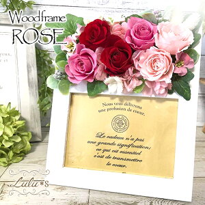 t[tHgt[ sN&bh vU[uht[ Ebht[ [Y tHgt[ L ʐ^ a  ̓ 蕨 t[ ϗtA ʐ^ v[g Mtg 