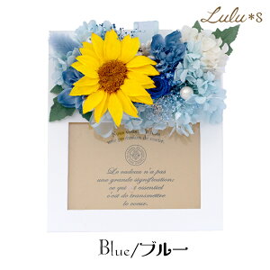 vU[uht[ t[ Ђ܂ Ebht[ tHgt[ t[   q} z ʐ^ ʐ^ v[g Mtg a 킢  i ސEj