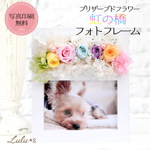 yybg{z vU[uht[ ̋ tHgt[ C{[ ybg  AtHg  v[g Mtg  A ʐ^ L ʐ^  L  