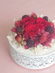 t[P[L AW tFCNP[L tFCNXC[c NX}X vU[uht[ A[eBtBVt[  j n[to[Xf[ xr[V[ LOtHg 