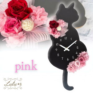 X^[obNX X^o R[q[ Mtg Zbg NlR Ԏv vU[uht[ v  Uq |v ˂ lR L L G Lbg a 蕨 Ǌ| [Y KN 