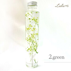 JX~\E ݑ n[oE Gypsophila K vU[uht[ hCt[  NX}X a v[g Mtg w   ސE CX^f j  N 