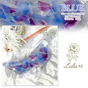 n[oE KX̌C VfV[{g Vf LL nCq[ {g vU[uht[ ̓ a v[g Mtg j w   V EFfB