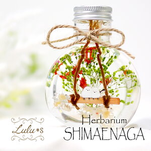 V}GiK n[oE ~ ̗d o^C vU[uht[ hCt[  a v[g Mtg w   ސE H~ CX^f j ސEj 