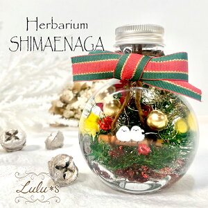 V}GiK NX}X n[oE ~ ̗d ܂Ȃ vU[uht[ hCt[ vU[uh t[ H~  v[g Mtg a j ސEj  