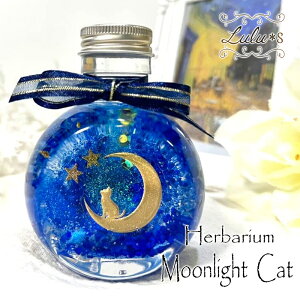 [Cg Lbg n[oE ETM Aj} L ˂ lR i Ae~X hCt[ NX}X Mtg v[g  킢v[g  a LD G l