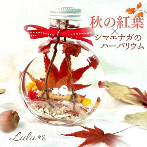 H̍gtƃV}GiK n[oE ̗d vU[uht[ hCt[ v[g Mtg H ~ nEB  a  ܂Ȃ ObY CX^f G V}G