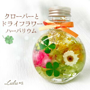 n[oE lt̃N[o[  [Y & ~U vU[uht[ hCt[ xĂ߂ ̓ t[ Mtg a v[g  ԃMtg  Ce